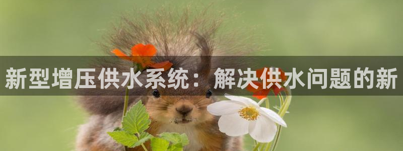 球友会聚餐发言简短