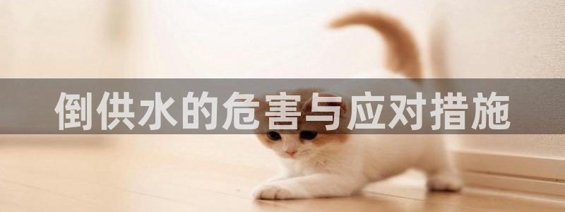 球友会·(QY)官方网站