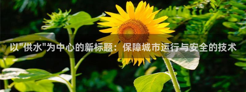 QY球友会
