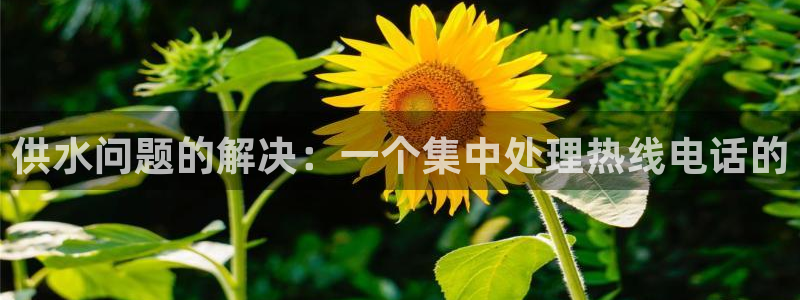 球友会app干啥的软件