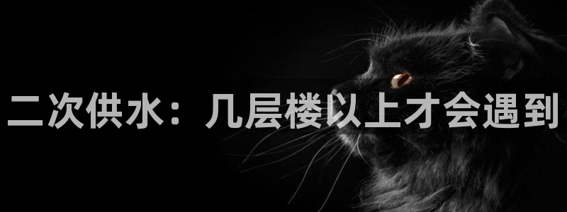 QY球友会体育官方平台