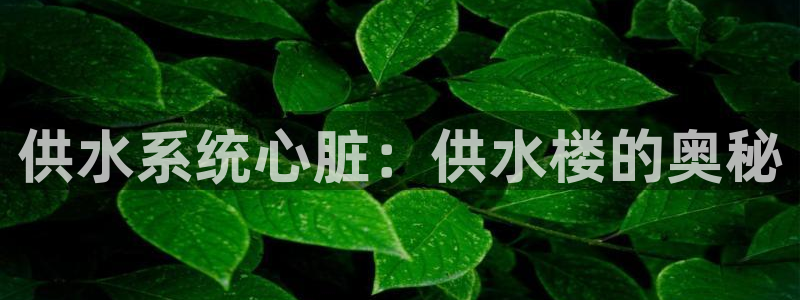 球友会审核