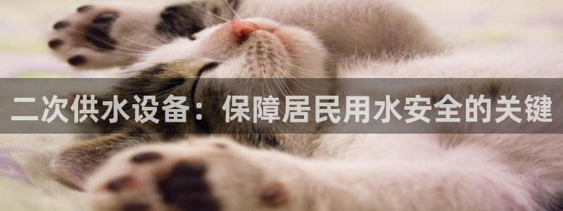 球友会登录球友会官网