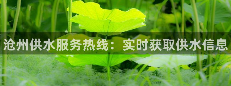 球友会体育app官方版下载安装手机