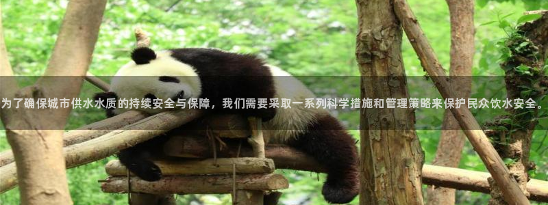 球友会提款审核