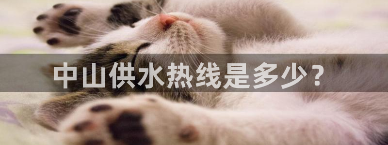 球友会网站多少